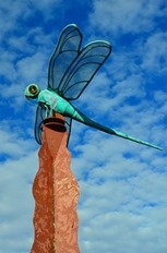 Dragonfly spinning in Woodinville, WA